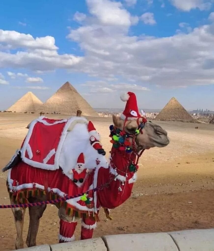 Cairo Tour by plane from Hurghada