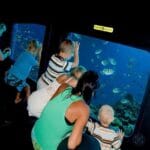Submarine Sharm El Sheikh