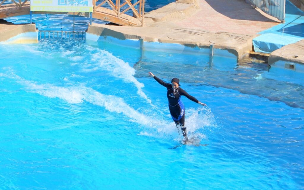 Dolphin Show Hurghada