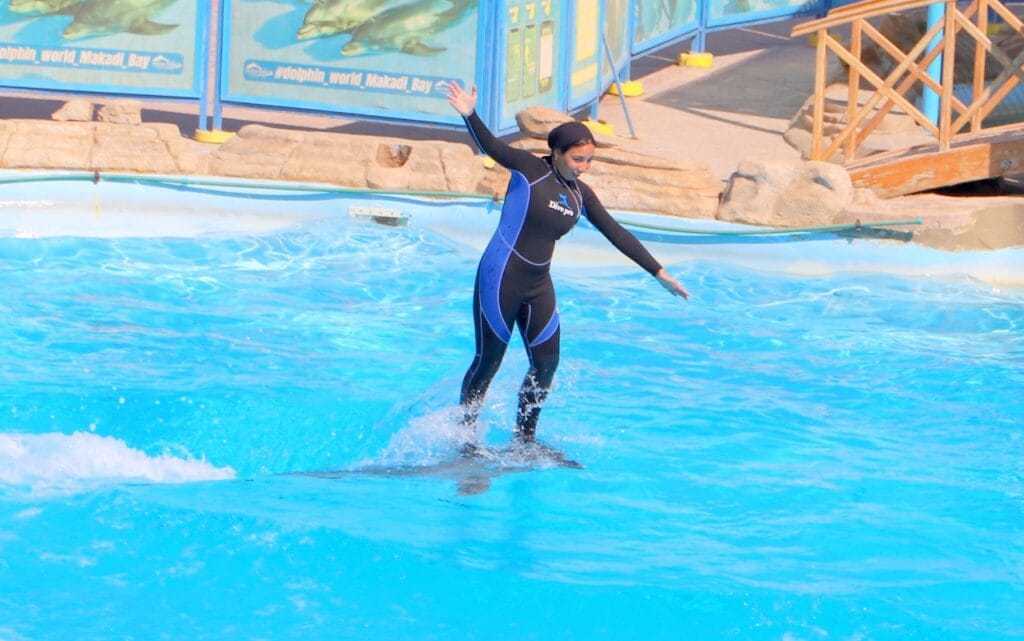 Dolphina Show and Swim with Dolphins in Sharm El Sheikh