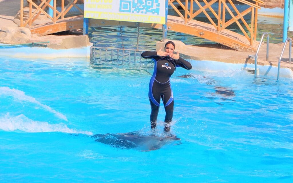 Dolphina Show and Swim with Dolphins in Sharm El Sheikh