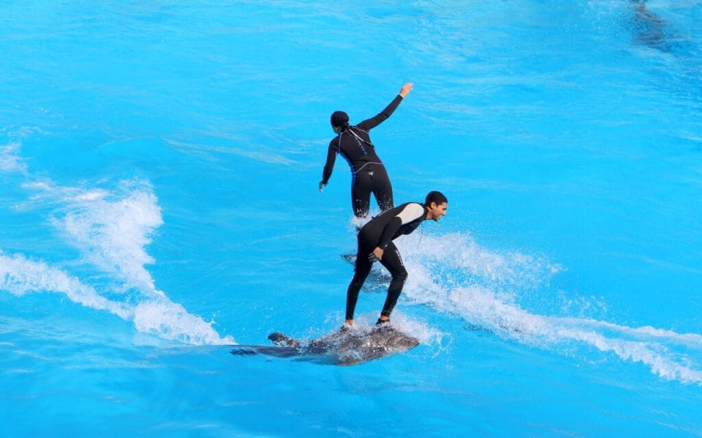 Dolphina Show and Swim with Dolphins in Sharm El Sheikh