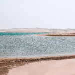 ras mohammed white island by boat