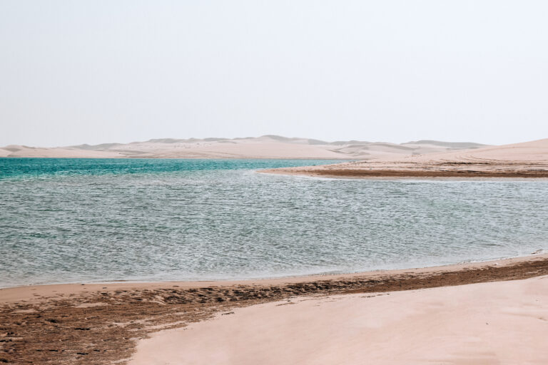 ras mohammed white island by boat