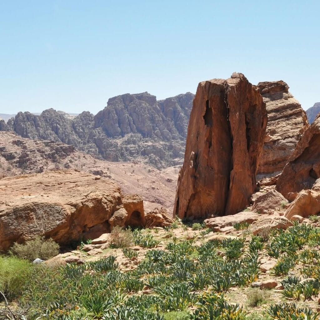 Petra Tour from Sharm El Sheikh